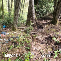 cleaning up homeless encampment