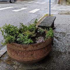 cleaning up downtown